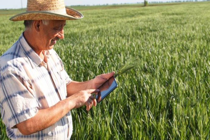 GESTAO_EMPRESA_AGRICULA