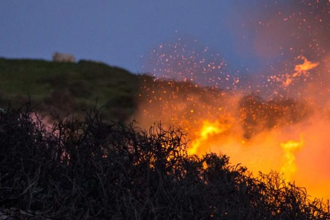 Operacional de Queima