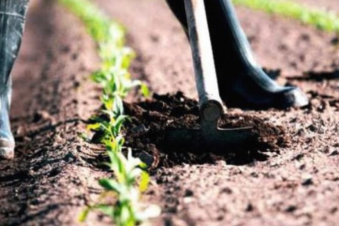 seguranca_e_saude_no_trabalho_agricola